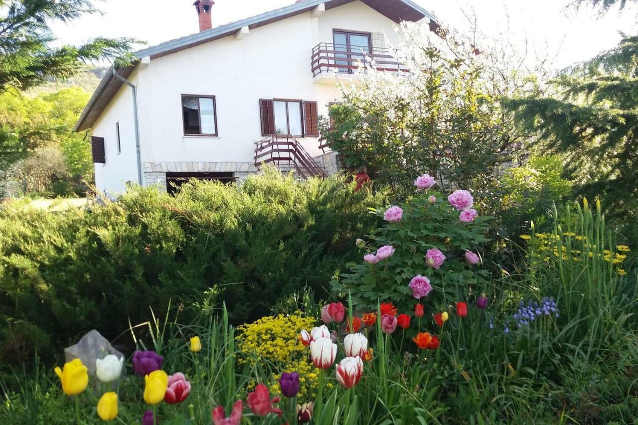 Kuca Sonja Villa Vranja Luaran gambar