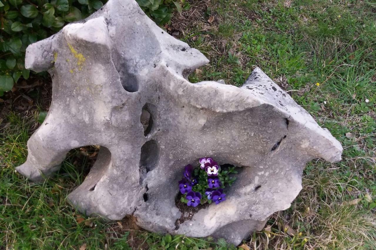 Kuca Sonja Villa Vranja Luaran gambar